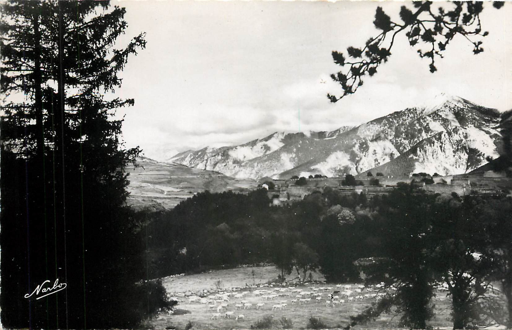 CPM Mont Louis P O Paturage aux pied de Mont Louis 