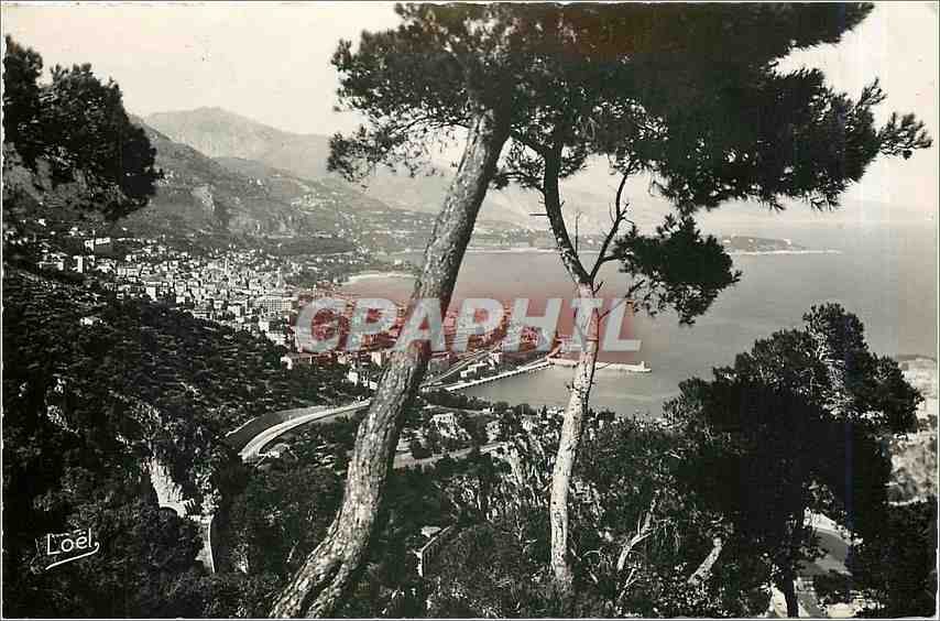 CPA La Cote d'Azur Monte Carlo et le Cap Martin 