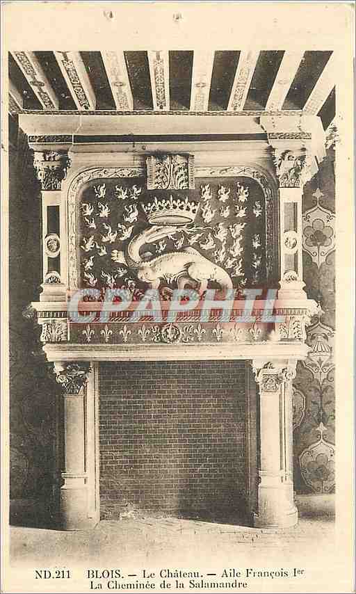 CPA Blois le Chateau Aile Francois 1er la Cheminee de la Salamandre 