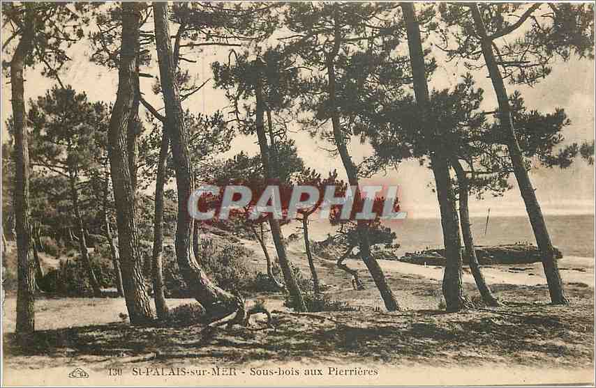 CPA St Palais sur Mer sous bois aux Pierrieres 
