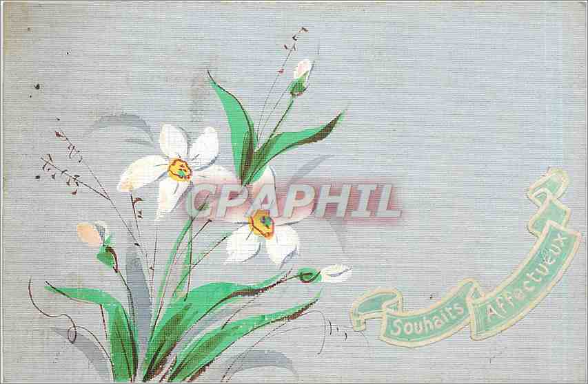 CPA Souhaits Affectueux Fleurs