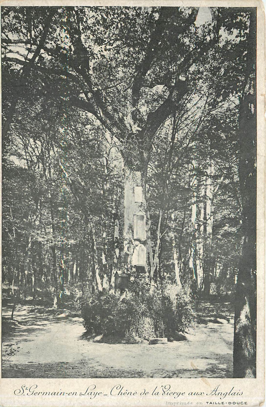 CPA St Germain en Laye Chene de la Sierge aux Anglais 