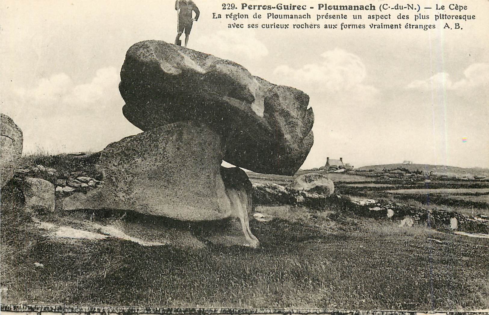 CPA Perres Guirec Ploumanach C du N 