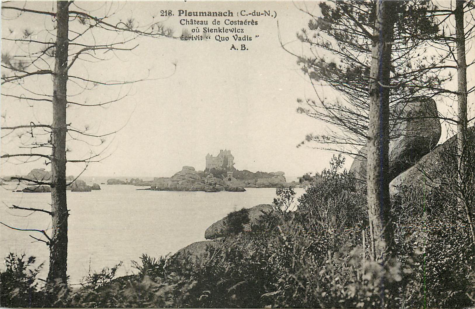 CPA Ploumanach C du N Chateau de Costaeres 