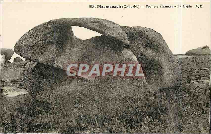CPA Ploumanach C du N Rochers etranges le Lapin 