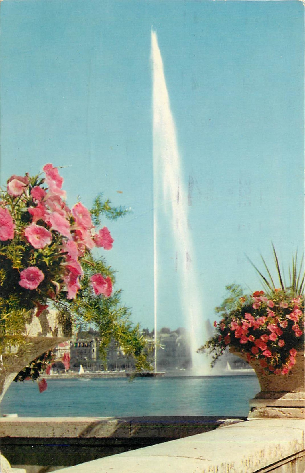 CPM Geneve le Jet d'eau 