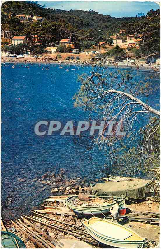CPA Lumiere et Beaute de la Cote d'Azur Pittoresques Calanques de Fabregas 