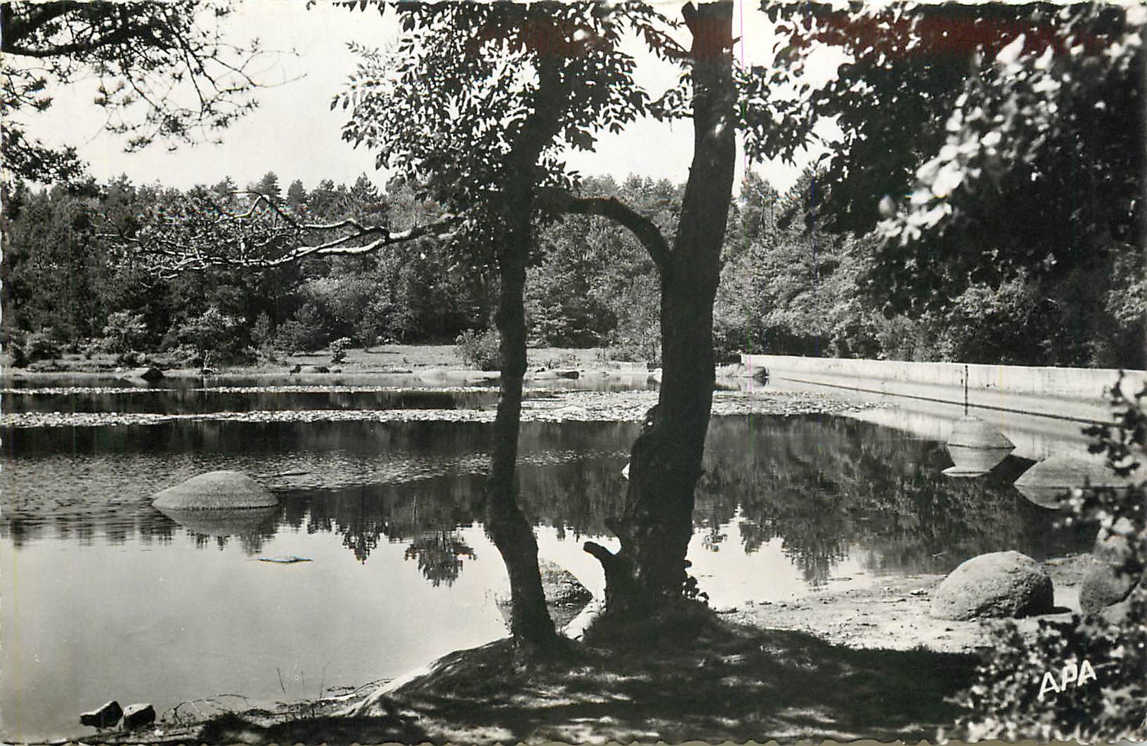 CPM En Parcourant le Sidobre Tarn le Lac du Merle 
