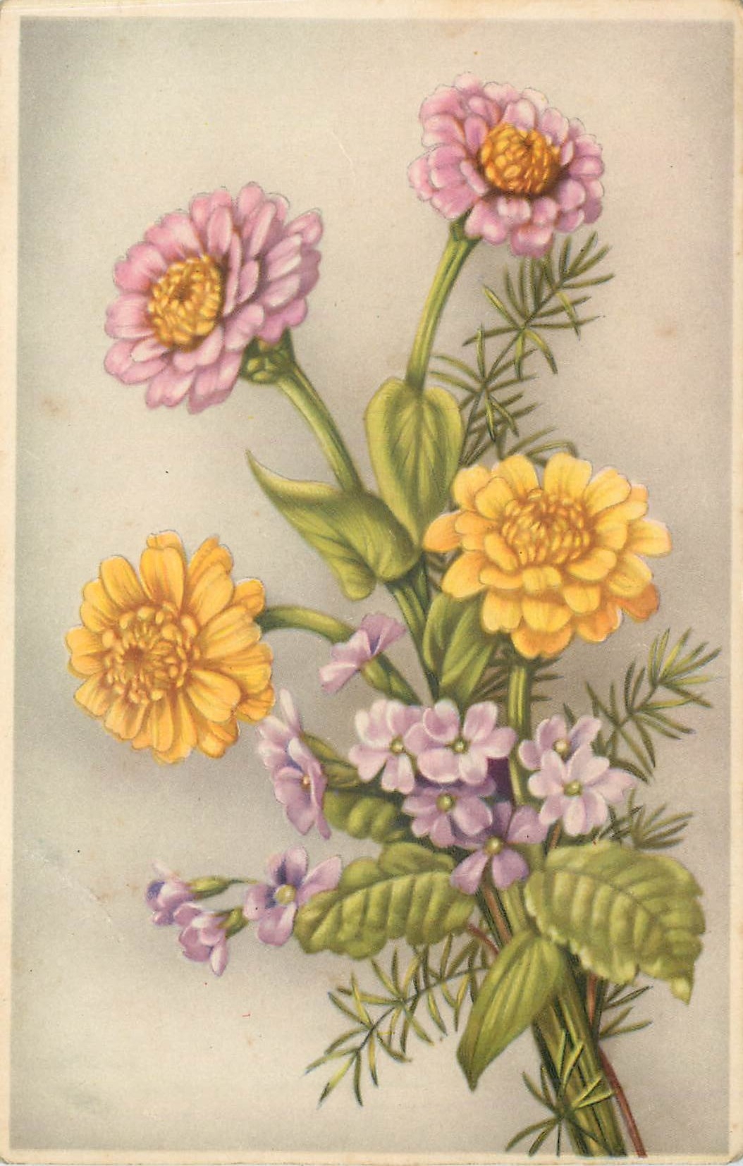 CPA Fleurs