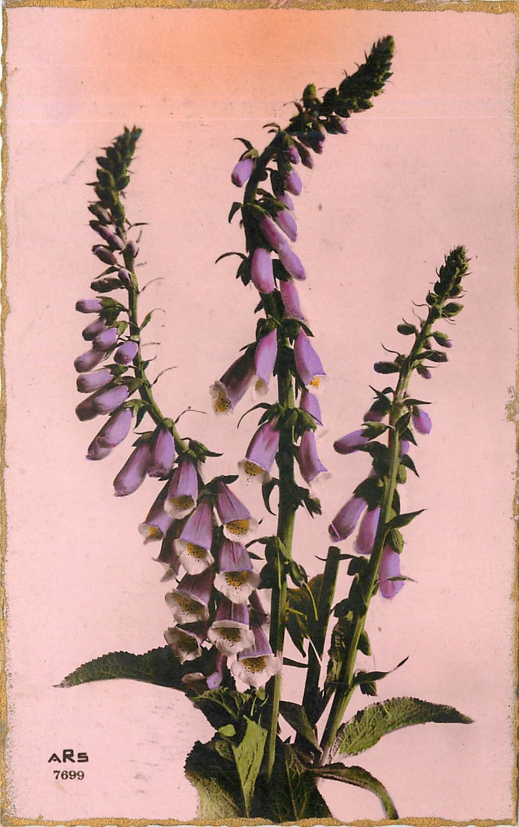 CPA Fleurs