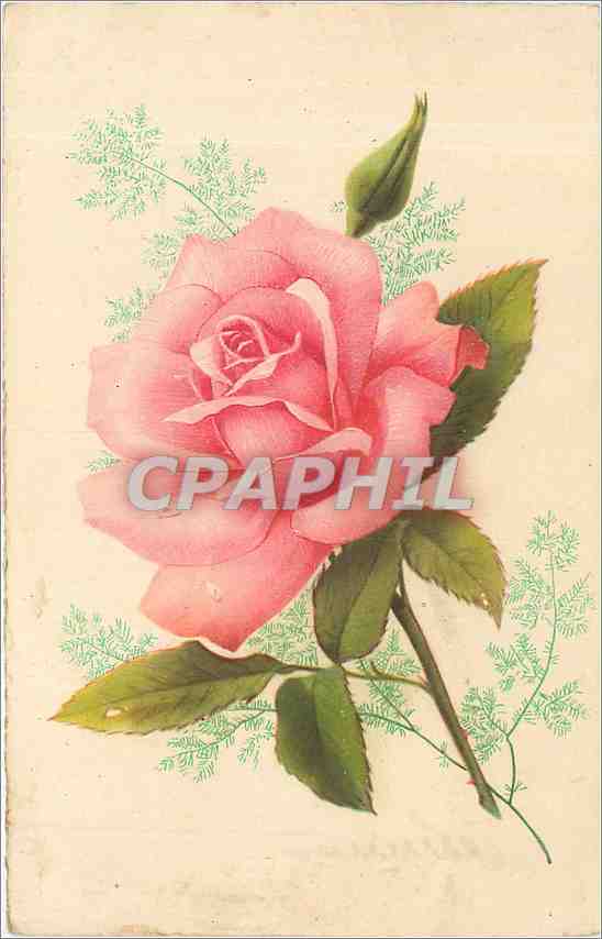 CPA Fleurs