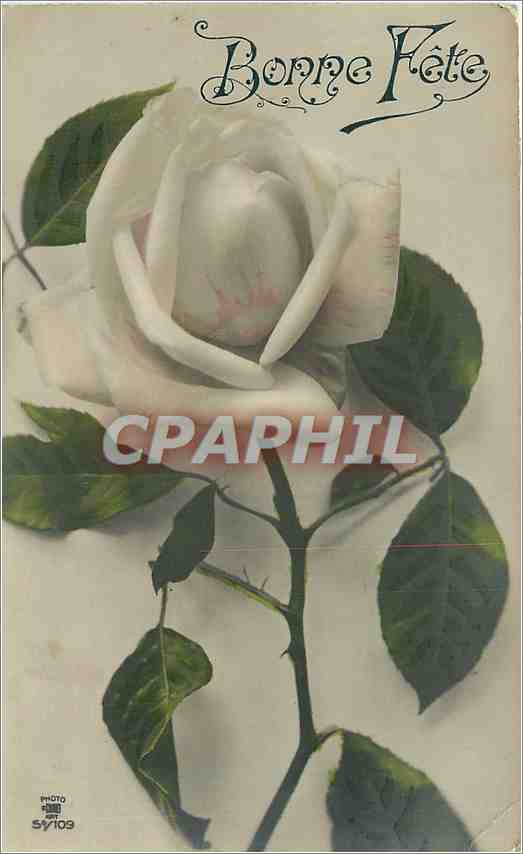 CPA Bonne Fete Fleurs