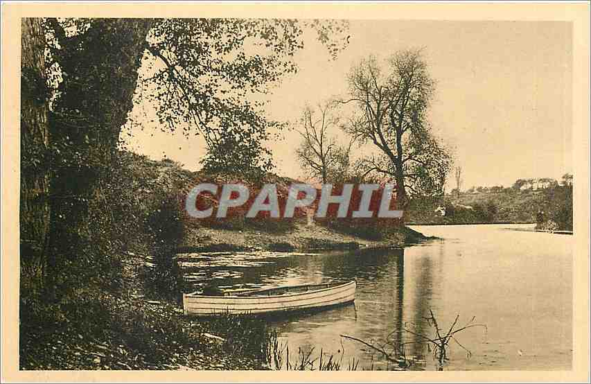 CPA Angers un coin de l'Etang Saint Nicolas 