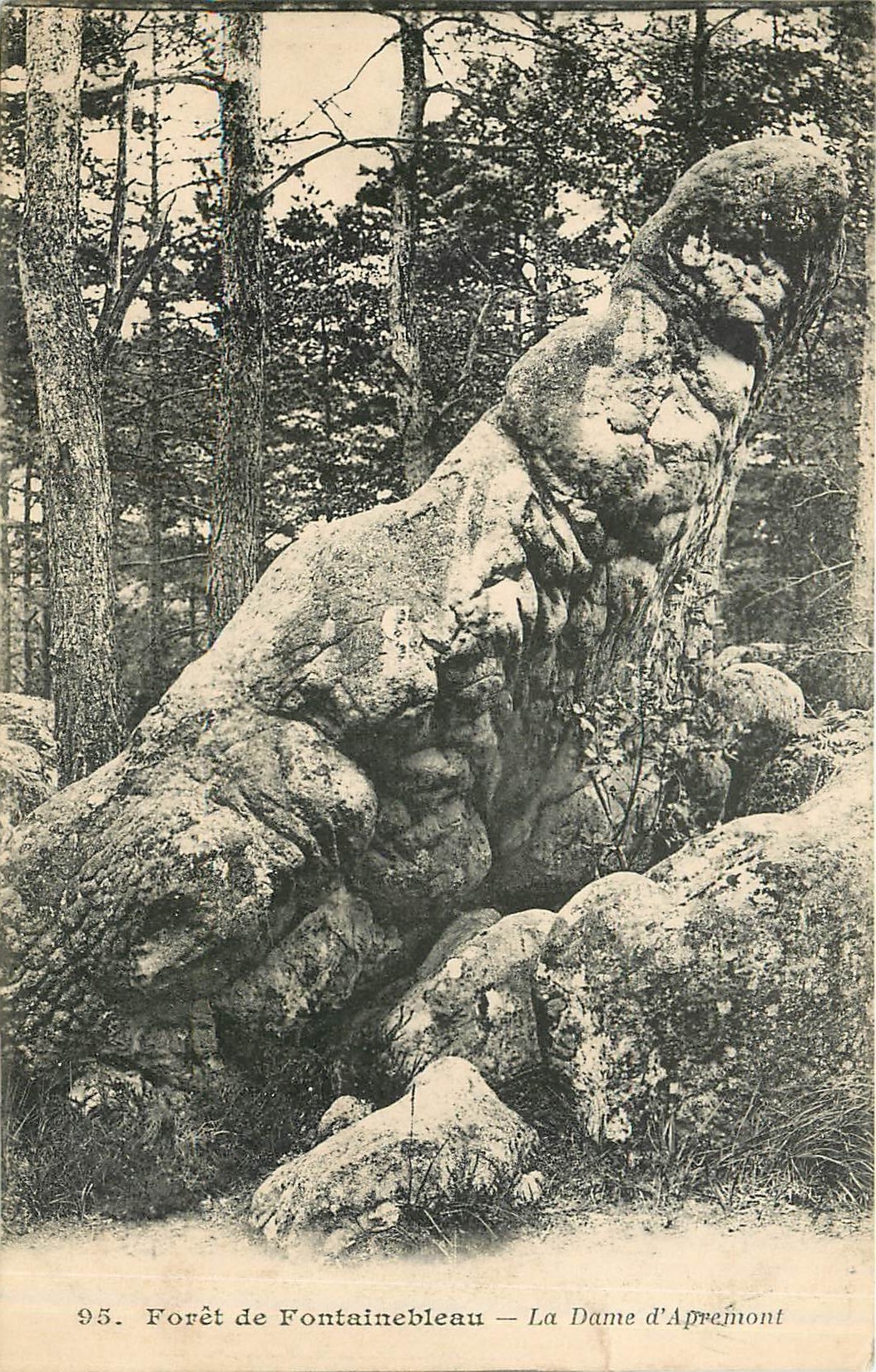 Forêt de Fontainebleau — La Dame d'Aprémont — éditeur non identifié, n° 95