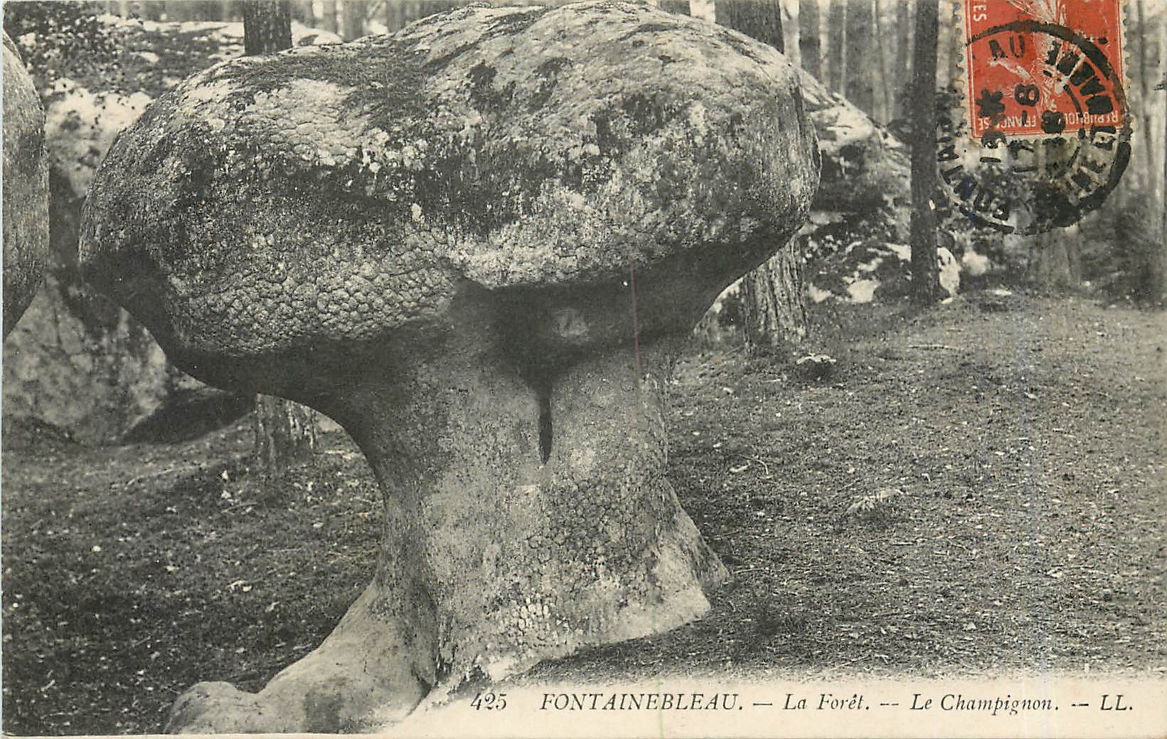 Fontainebleau — Die Wald — Der Pilz — LL. — N° 425