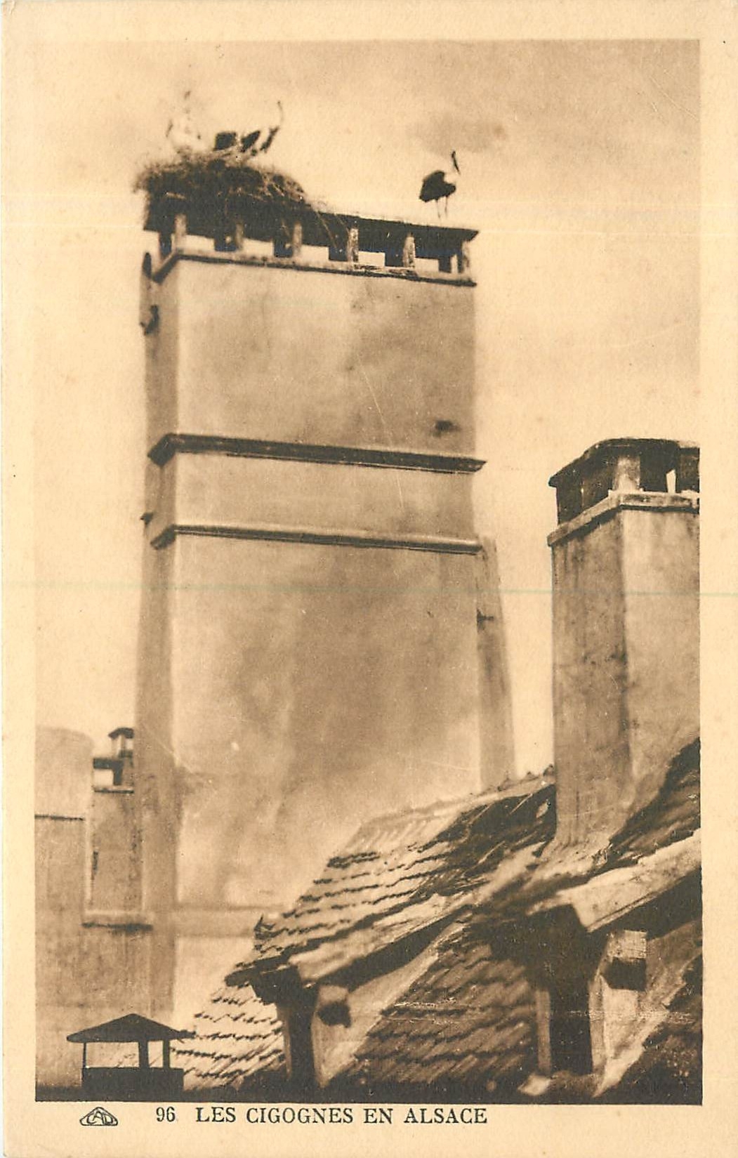CPA Les Cigognes en Alsace 