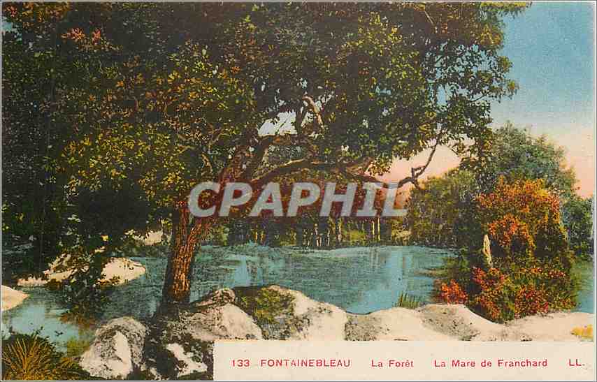 Fontainebleau — La Forêt, La Mare de Franchard — Editor Lévy & Neurdein, n° 133