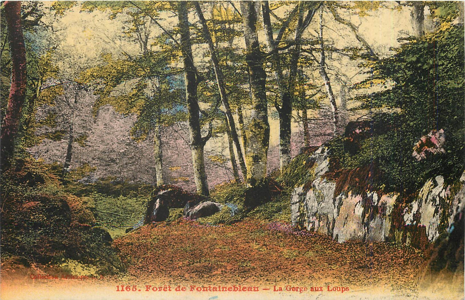 Wald von Fontainebleau — Schlucht der Wölfe — Sammlung der Tiere, Nr. 1165
