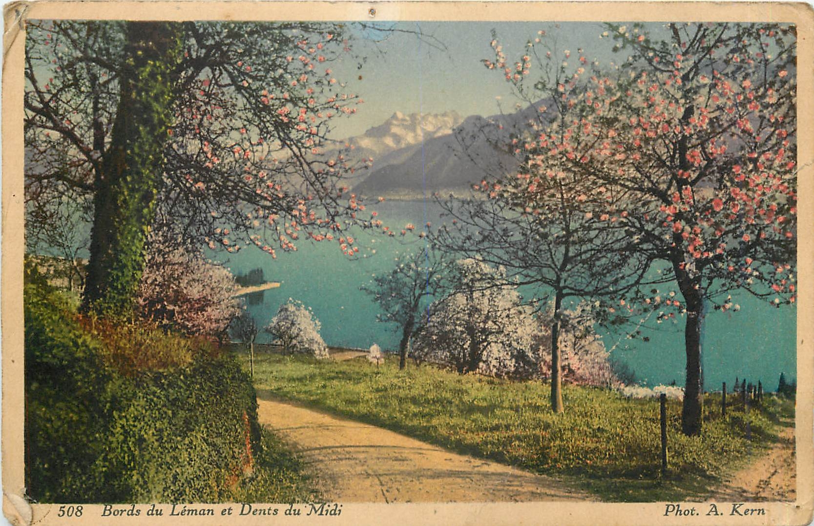 CPA Bords du Leman et Dents du Midi 