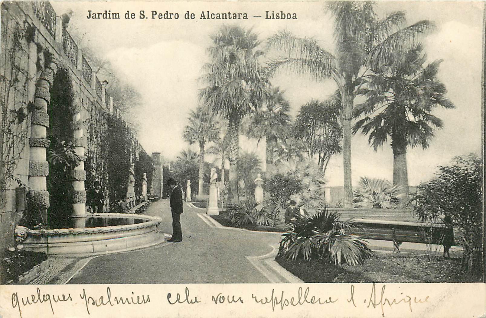 CPA Jardim de S Pedro de Alcantara Lisboa 