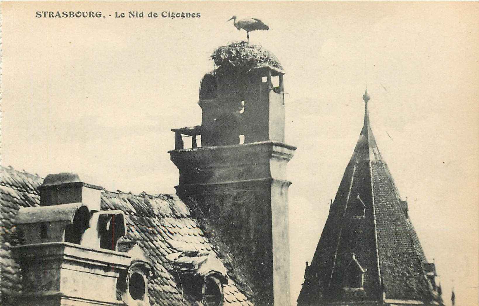 CPA Strasbourg Le Nid de Cigognes 