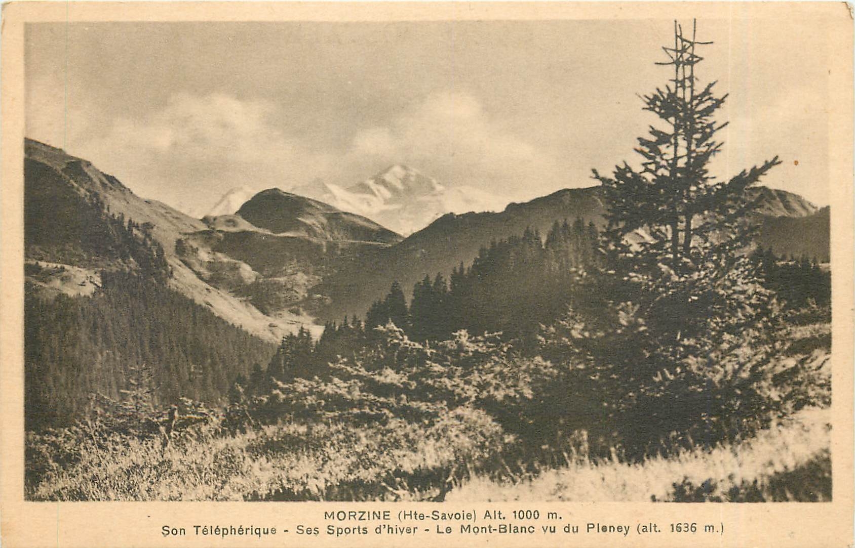 Morzine (Hte-Savoie) - Vue du Mont-Blanc depuis le Pleney - Alt. 1000 m.