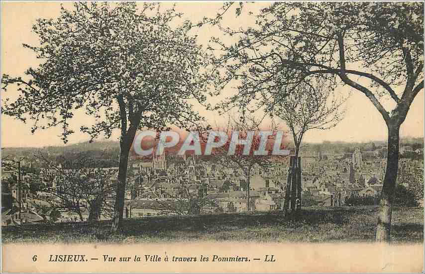 Lisieux — Vue sur la Ville à travers les Pommiers — LL
