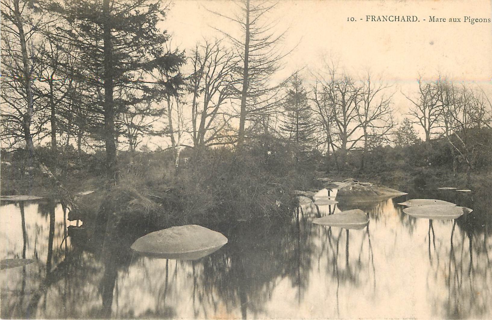 Franchard - Mare aux Pigeons — vue de la mare entourée d'arbres et de rochers