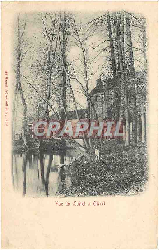 CPA Vue du Loiret a Olivet 