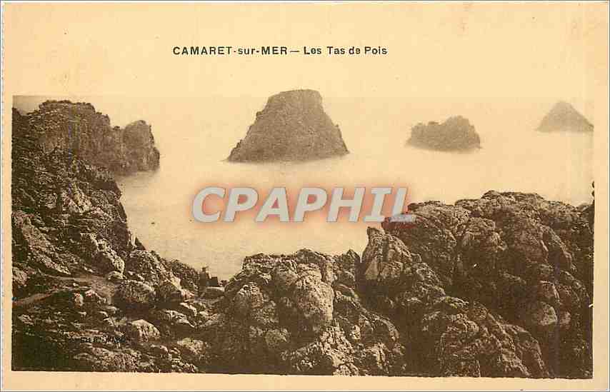 CPA Camaret sur Mer Les Tas de Pois 