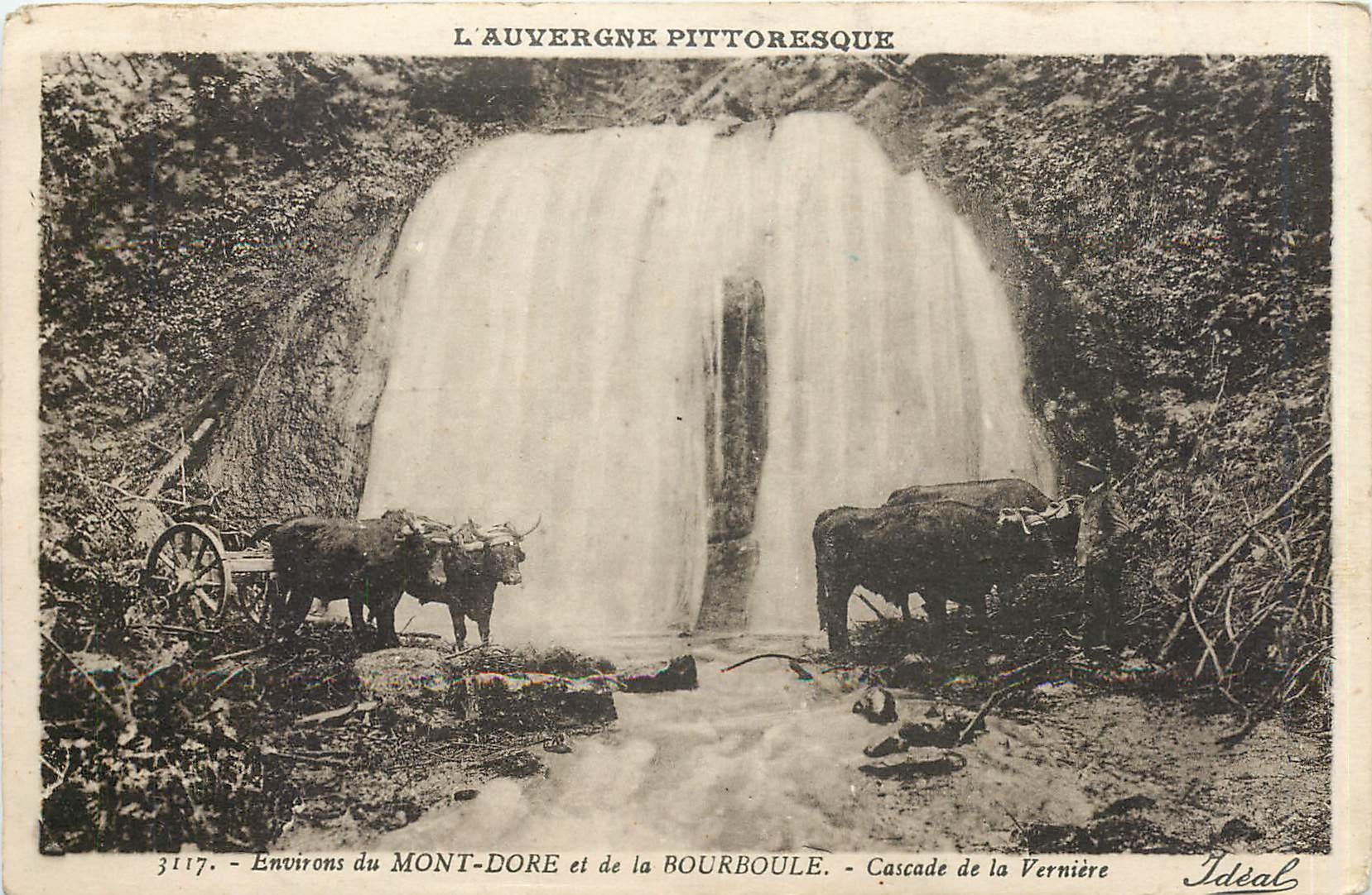 CPA L'Auvergne pittoresque Environs du Mont Dore et de la Bourboule Cascade de la Verniere 