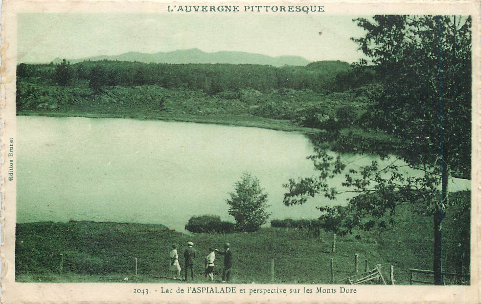 CPA L'Auvergne Pittoresque Lac de l'Aspialade et perspective sur les Monts Dore 