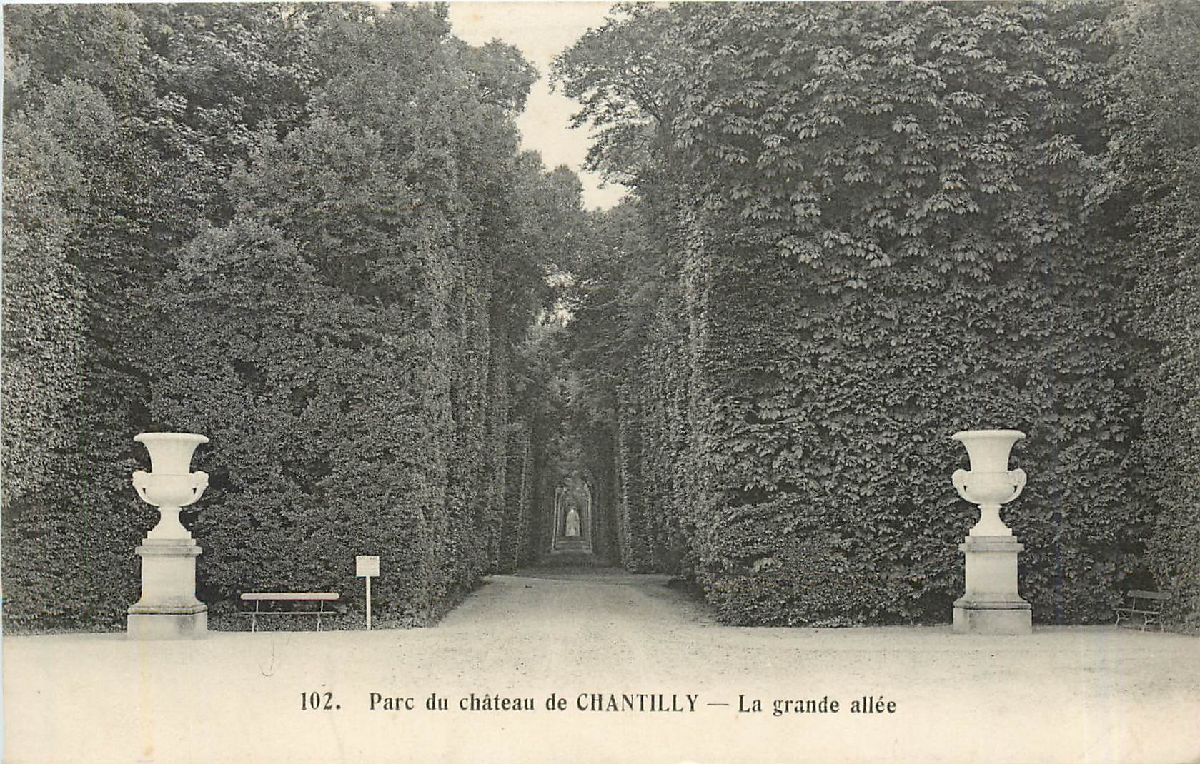 Parc du château de CHANTILLY — La grande allée — Héliotypie Bourdier et Faucheux, n°102