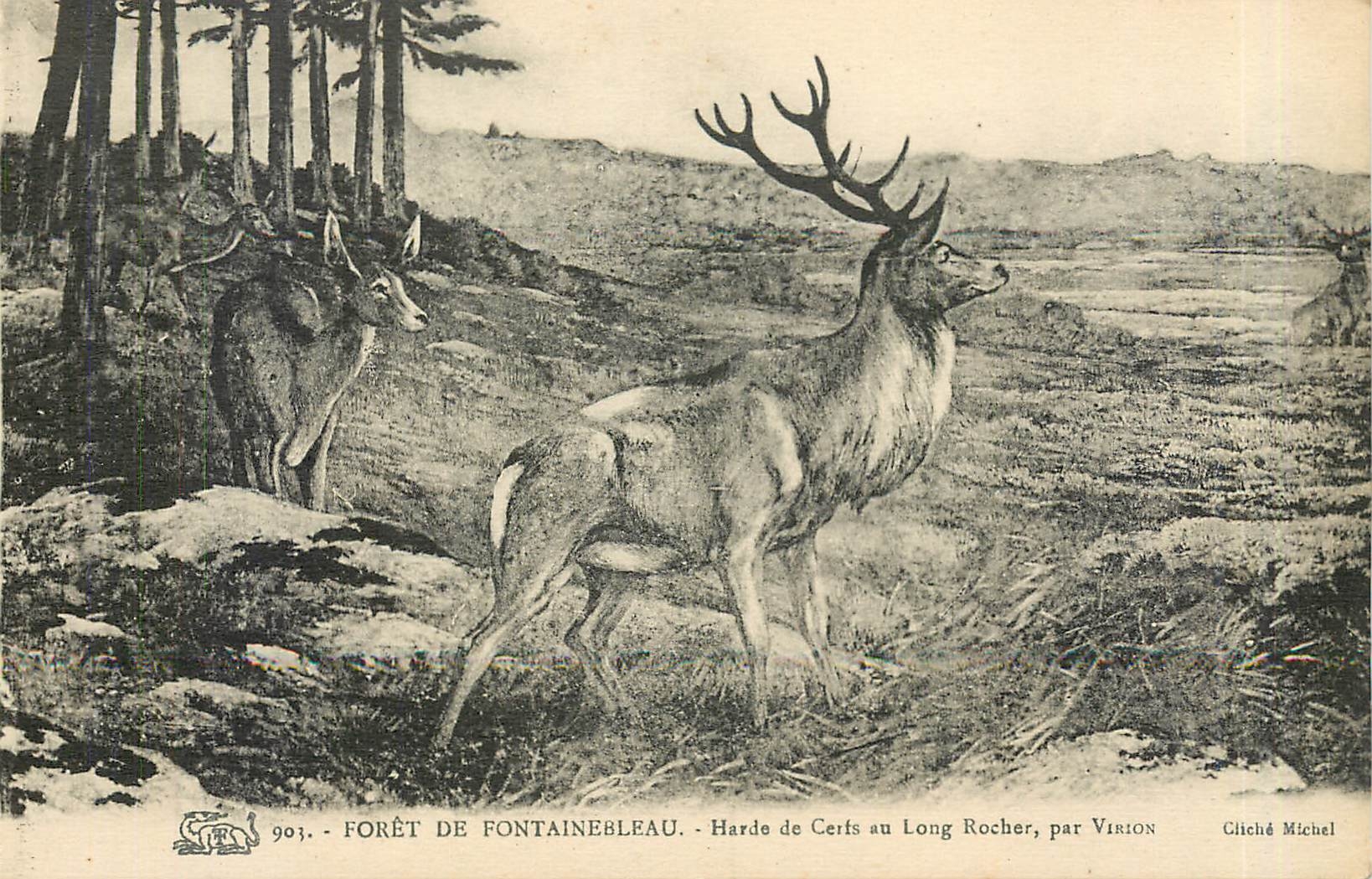 Forêt de Fontainebleau — Harde de Cerfs au Long Rocher — par Virion, Cliché Michel