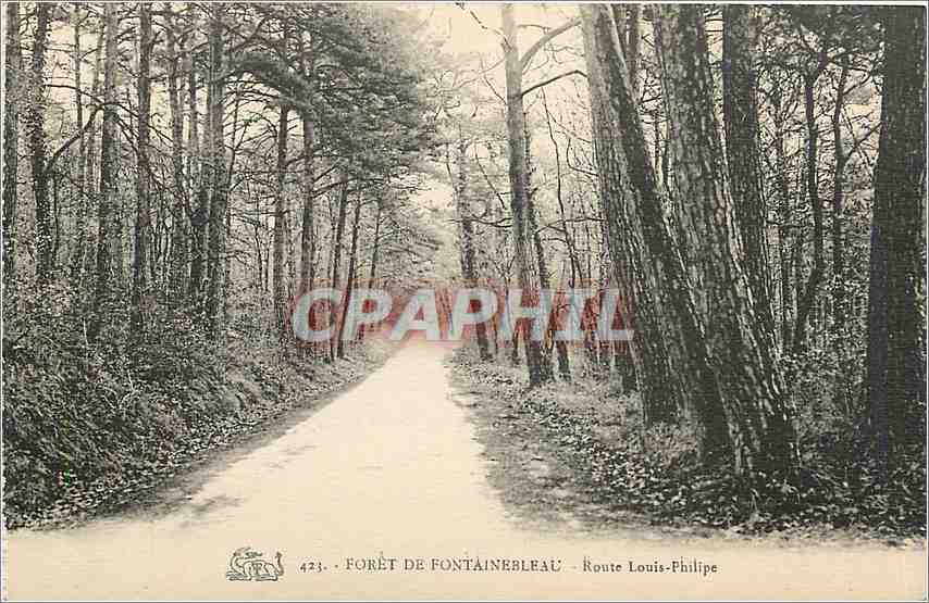 Wald von Fontainebleau — Route Louis-Philippe — Verlag: Nr. 423