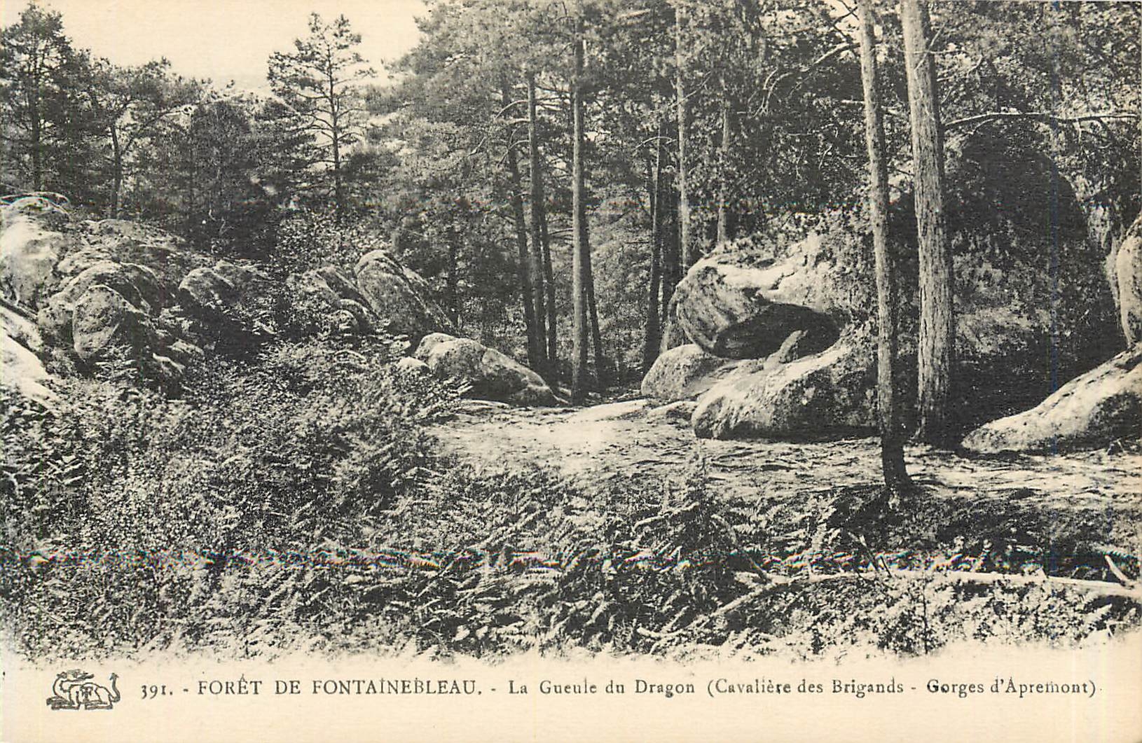 Forêt de Fontainebleau — La Gueule du Dragon (Cavalière des Brigands - Gorges d'Apremont) — n° 391