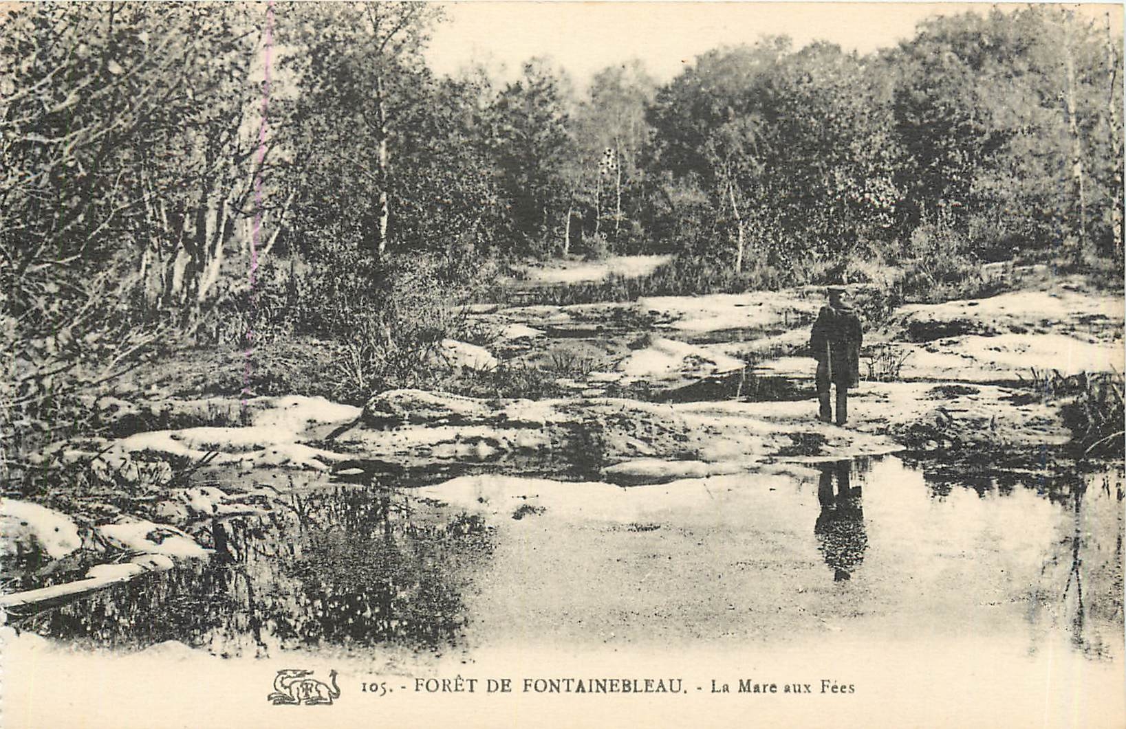 Forêt de Fontainebleau — La Mare aux Fées — n°105