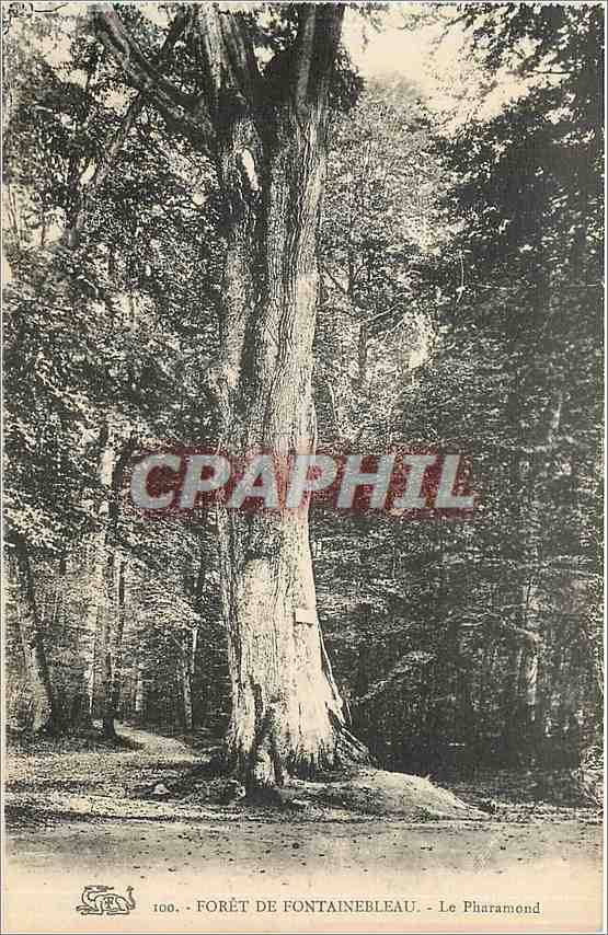 Forêt de Fontainebleau — Le Pharamond — CPAPHIL n°100