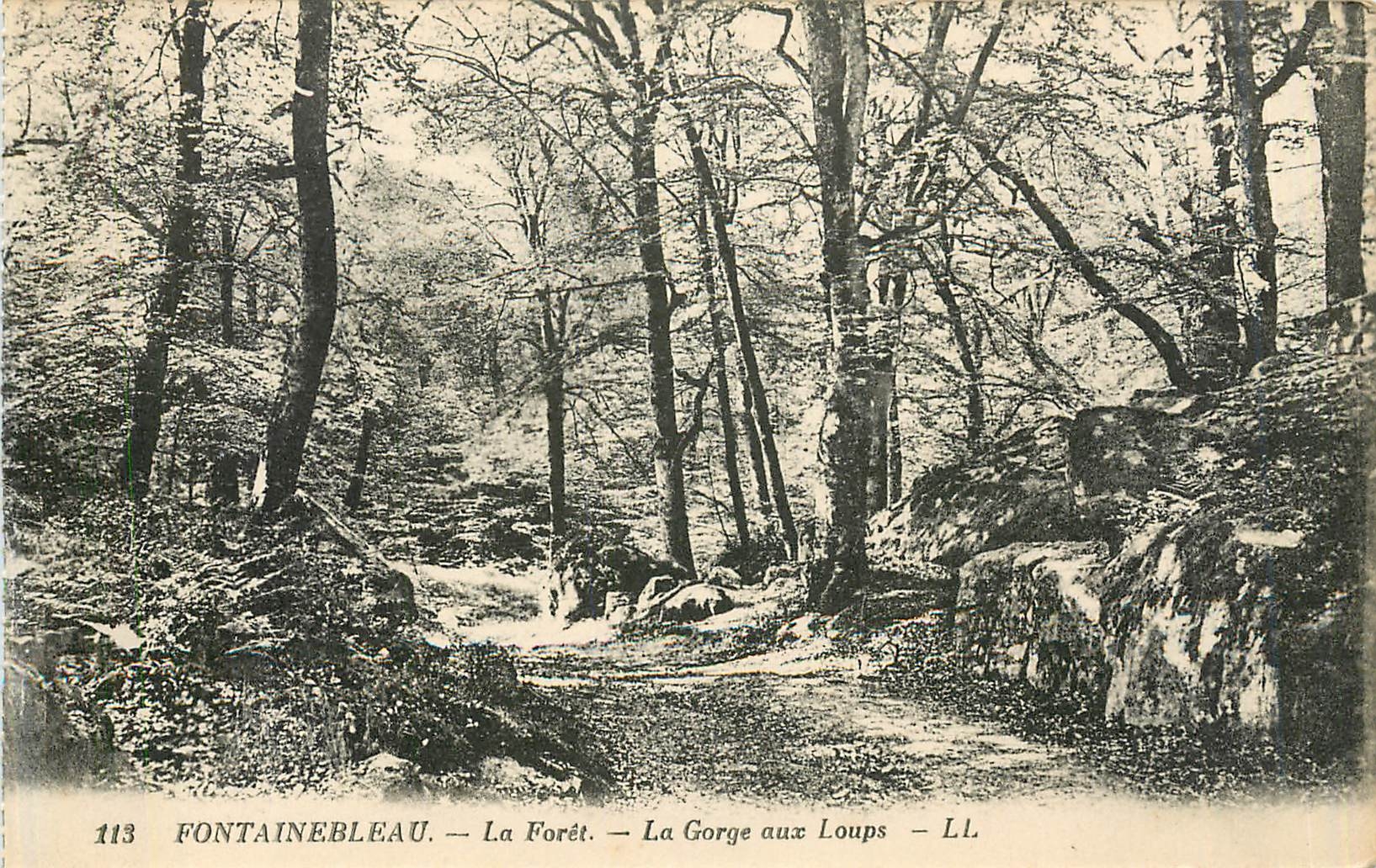 Fontainebleau — La Forêt — La Gorge aux Loups — LL — n°113