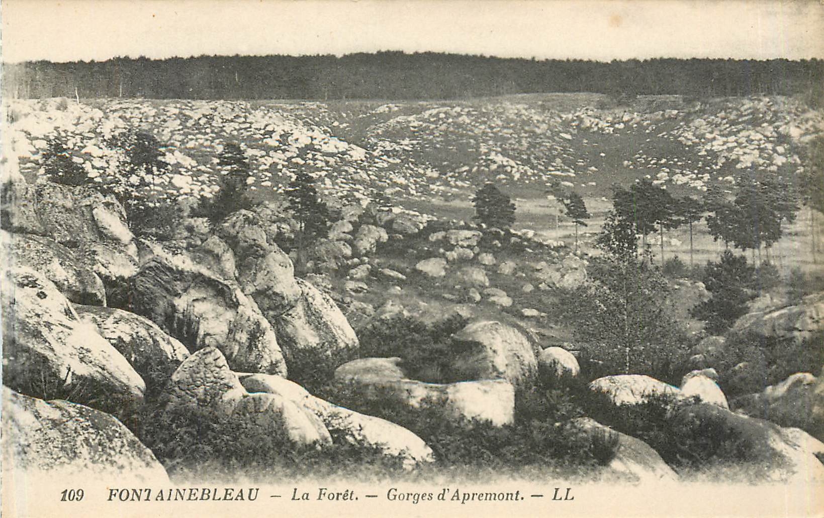 Fontainebleau — La Forêt — Gorges d'Apremont — LL — n°109