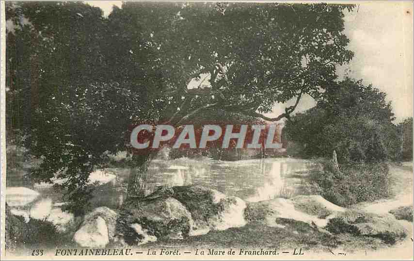 Fontainebleau — La Forêt — La Mare de Franchard — LL — n°133