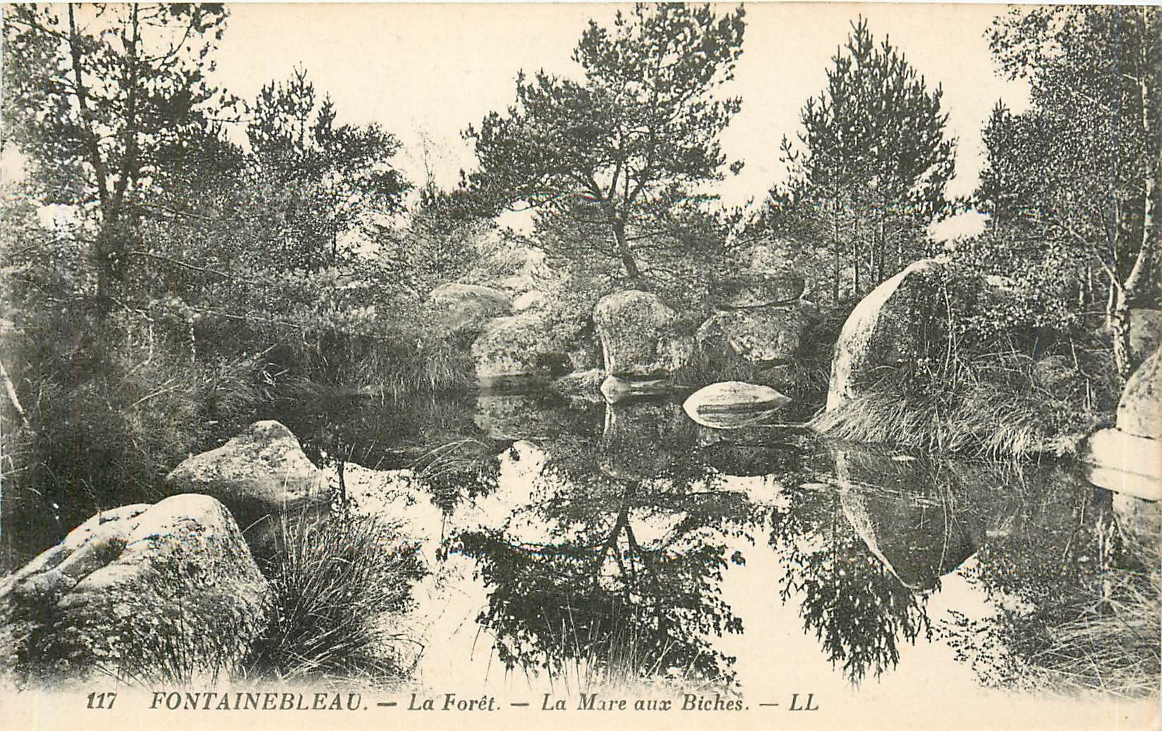 Fontainebleau — La Forêt — La Mare aux Biches — LL — n°117