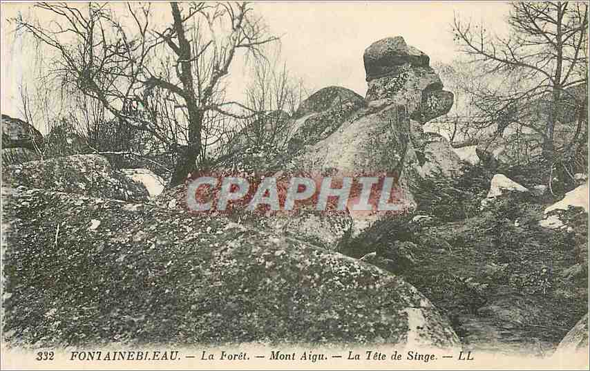 Fontainebleau — La Forêt — Mont Aigu — La Tête de Singe — LL