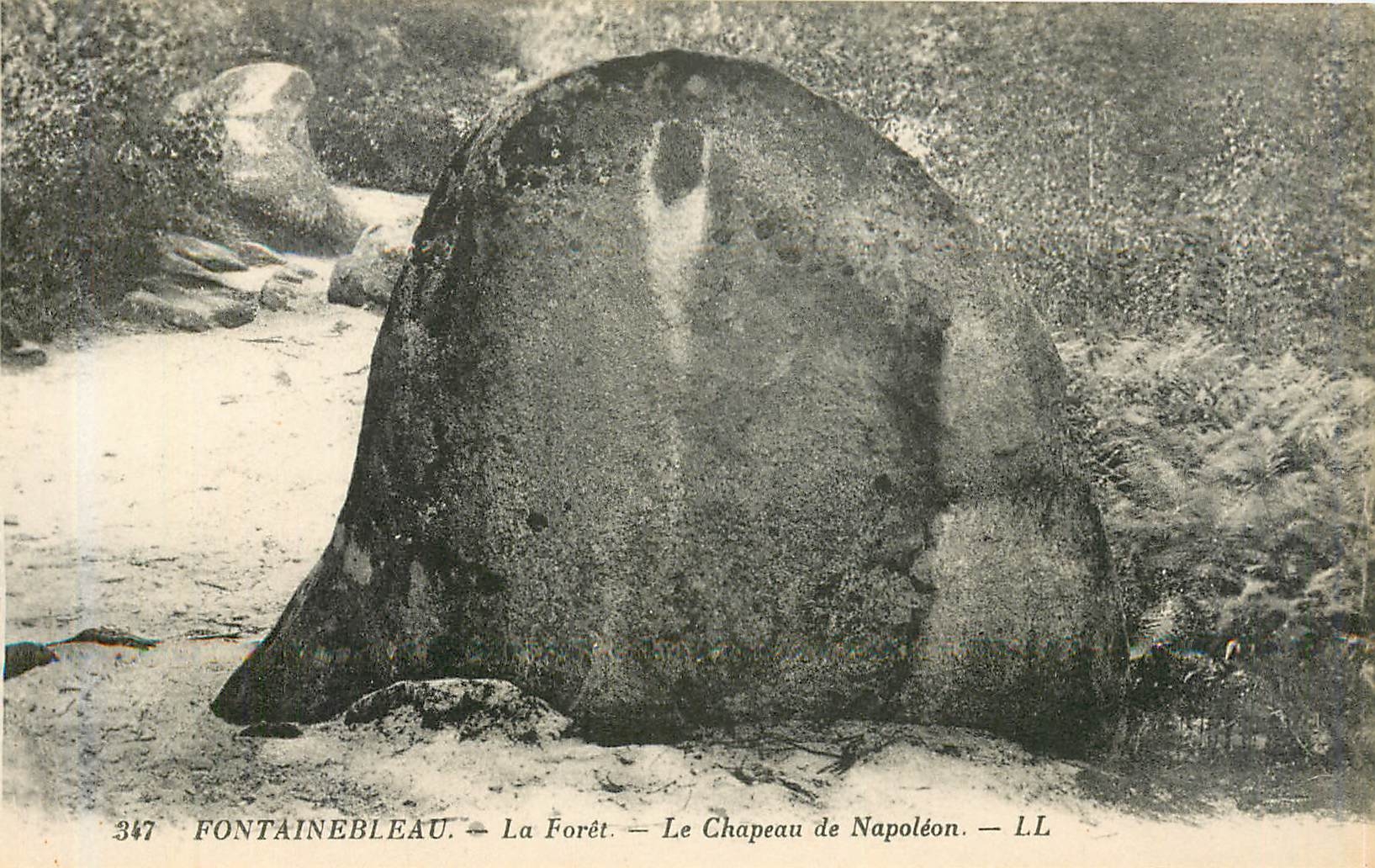 Fontainebleau — Der Wald — Der Hut Napoleons — L.L. — Nr. 347