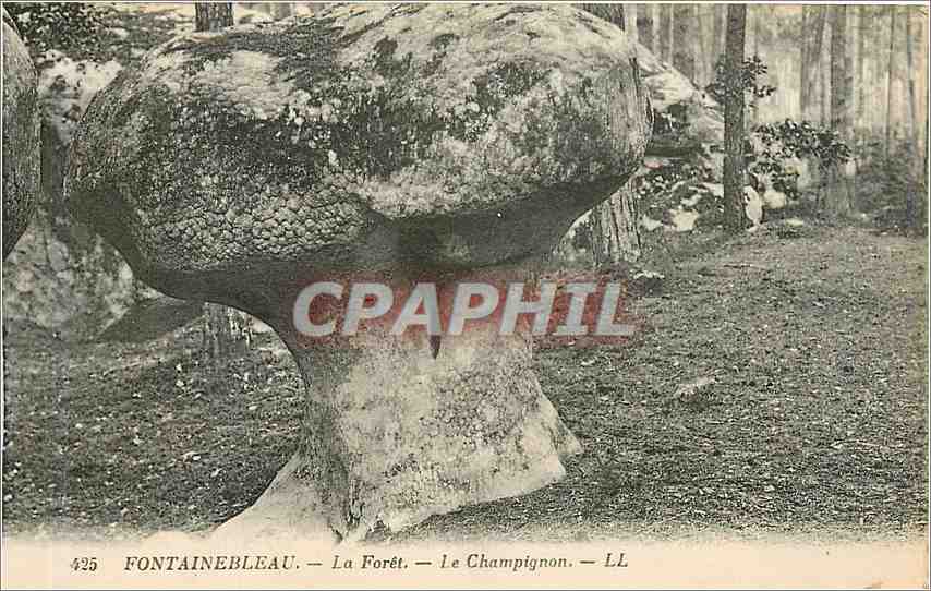 Fontainebleau — La Forêt — Le Champignon — LL — n°425