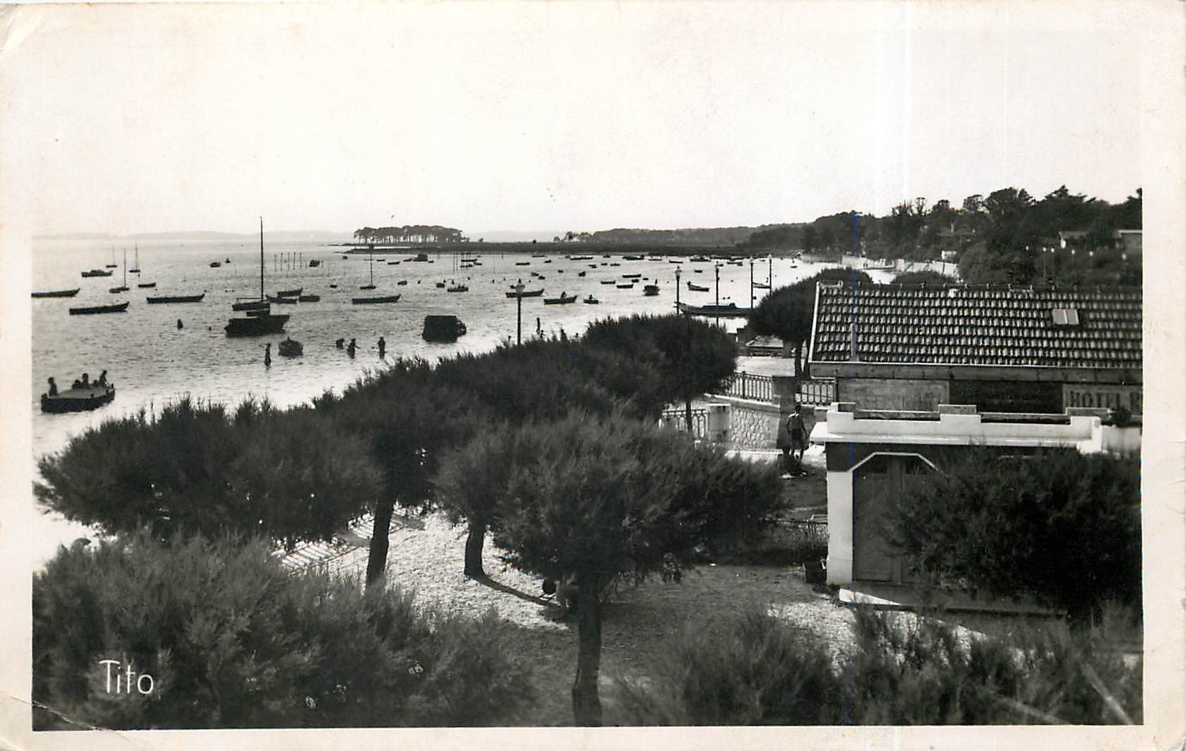 CPA Andernos les Bains Vue sur le Bassin vers les Quinconces 