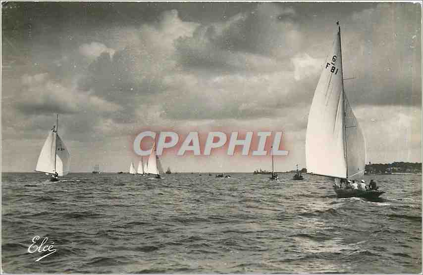 CPM Bassin d'Arcachon Regates sur le Bassin Bateaux