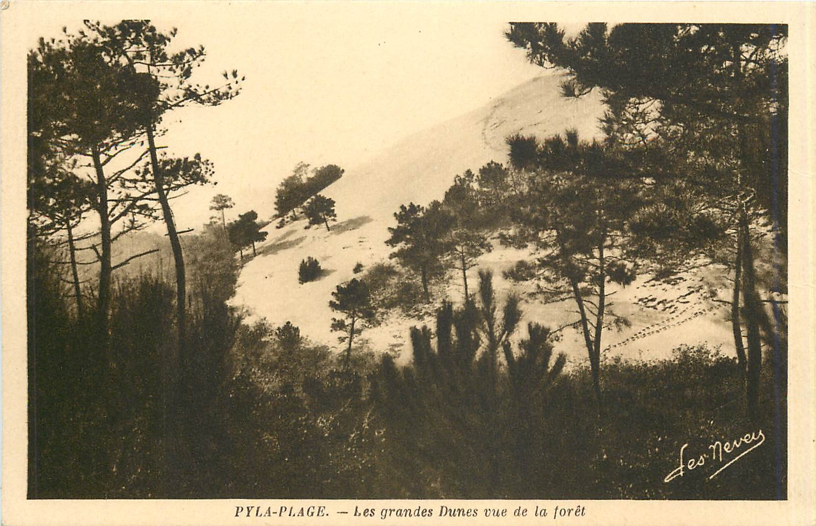 CPA Pyla Plage Les Grandes Dunes vue de la foret 