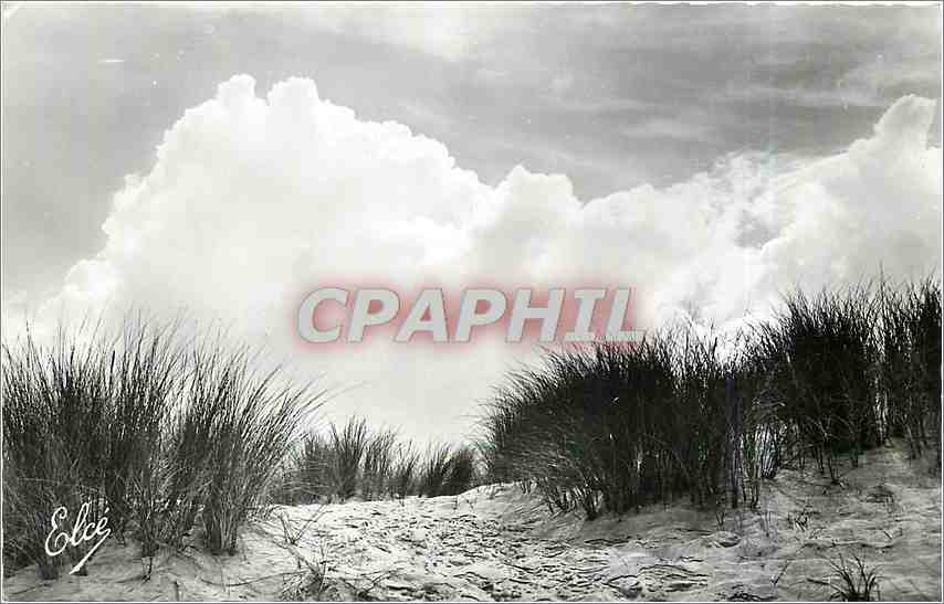 CPA Soulac sur Mer Gironde La Dune sauvage a l'Ocean 
