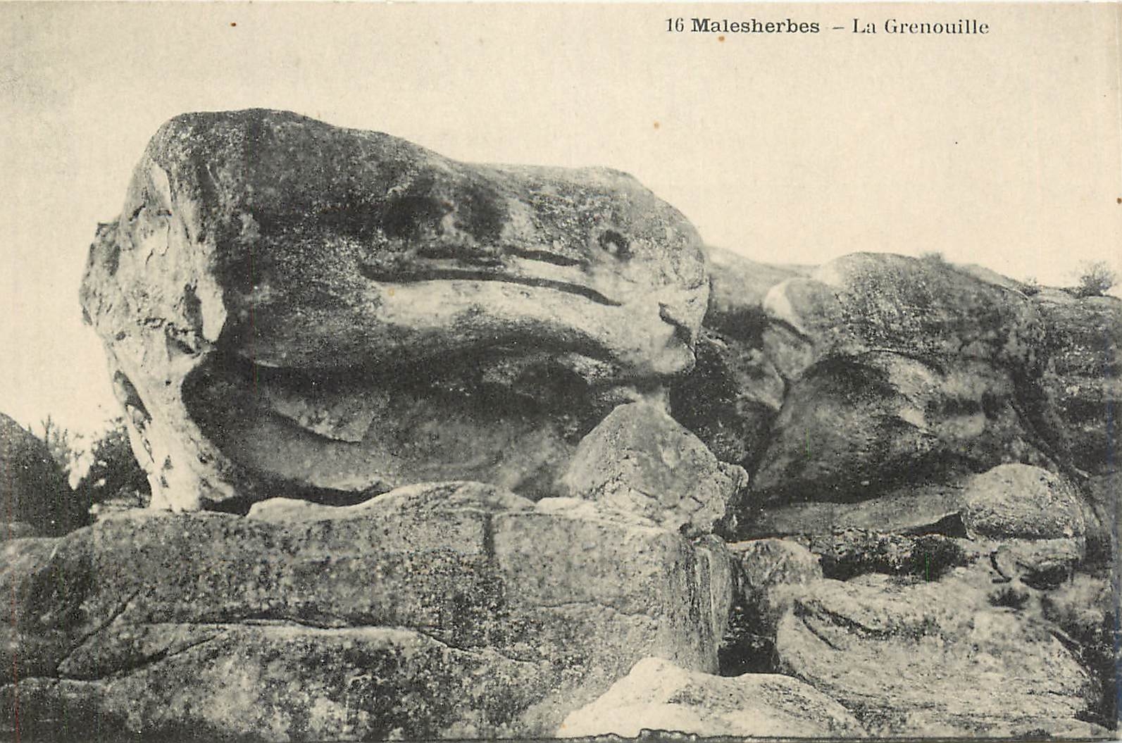 CPA Malesherbes La Grenouille 